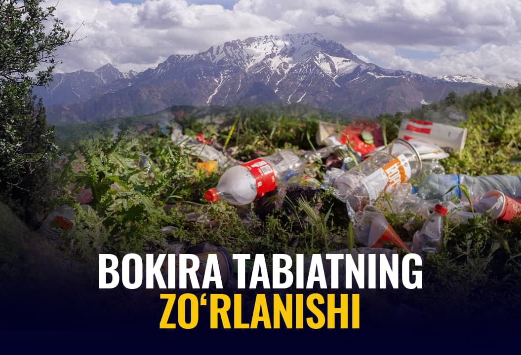 Go‘zallik axlatga botirilganda. Bu – tabiatni sevishmas, “layk” yig‘ish hirsi