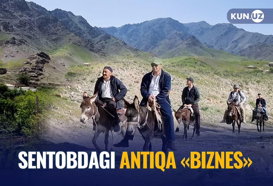 Nurotada “tog‘ transporti” – eshaklar daromad keltirmoqda