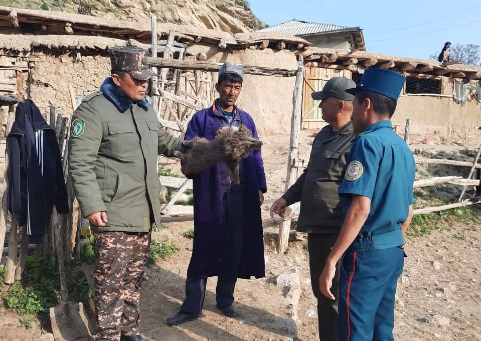 «Ayiq bolasi terisi ekspertizadan o‘tkaziladi» - Ekoqo‘mita Qashqadaryodagi holat bo‘yicha qo‘shimcha ma’lumot berdi