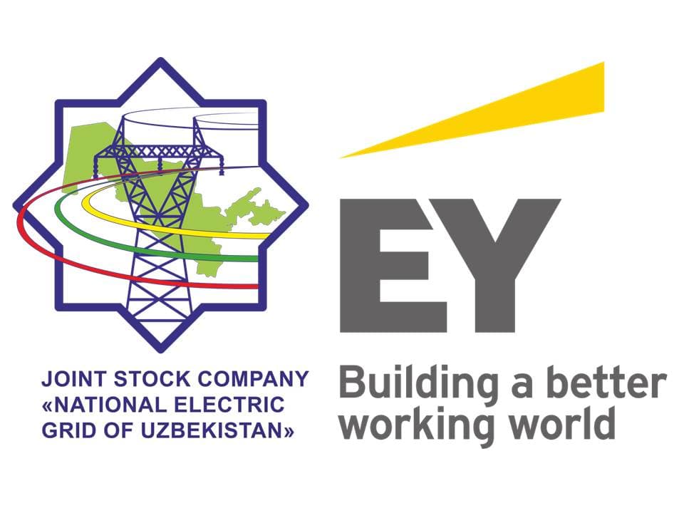 Ernst & Young has provided a positive audit opinion on the financial statements of National Electricity Grids of Uzbekistan JSC for 2019–2020