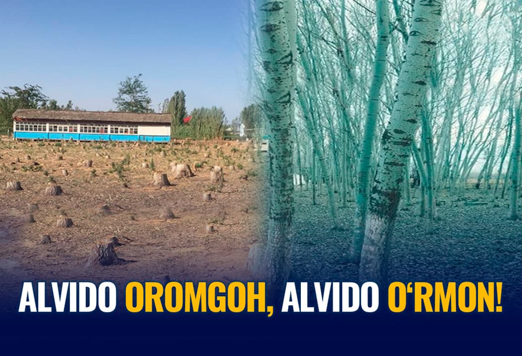 Qishloq bolasi bilan kimning ishi bor: Bulung‘urdagi yagona bolalar oromgohi sotib yuborildi