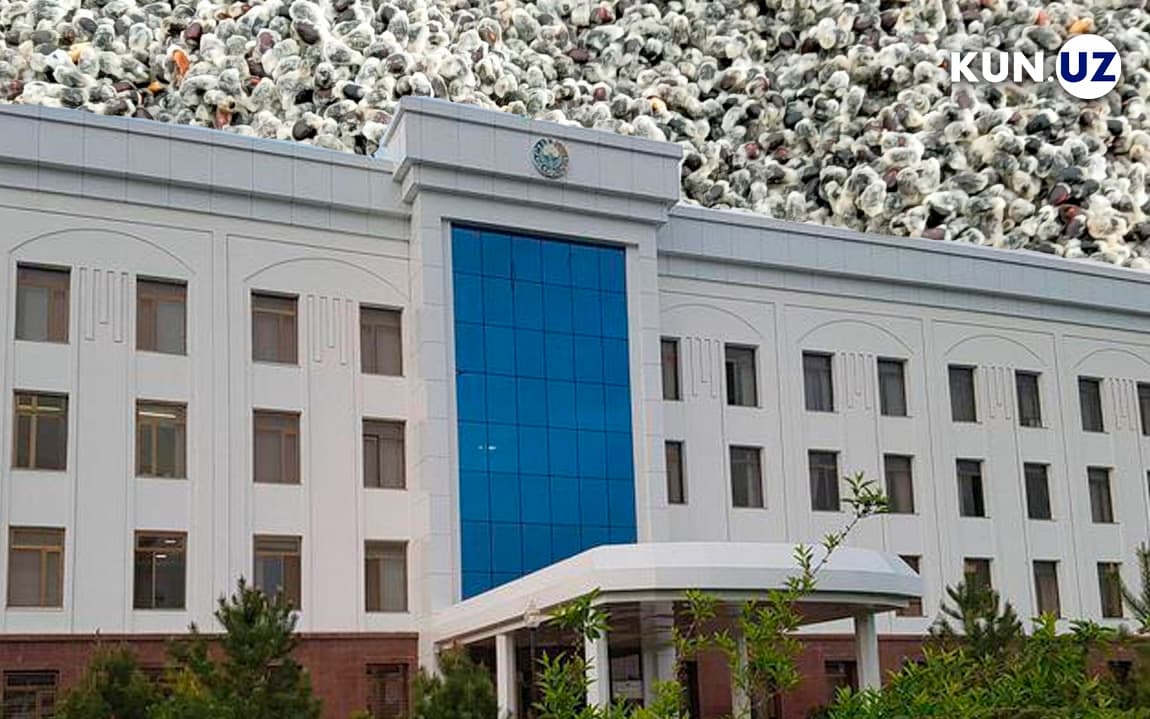 Chigit voqeasi: Qashqadaryo hokimligining asl yuzi ochilmoqda
