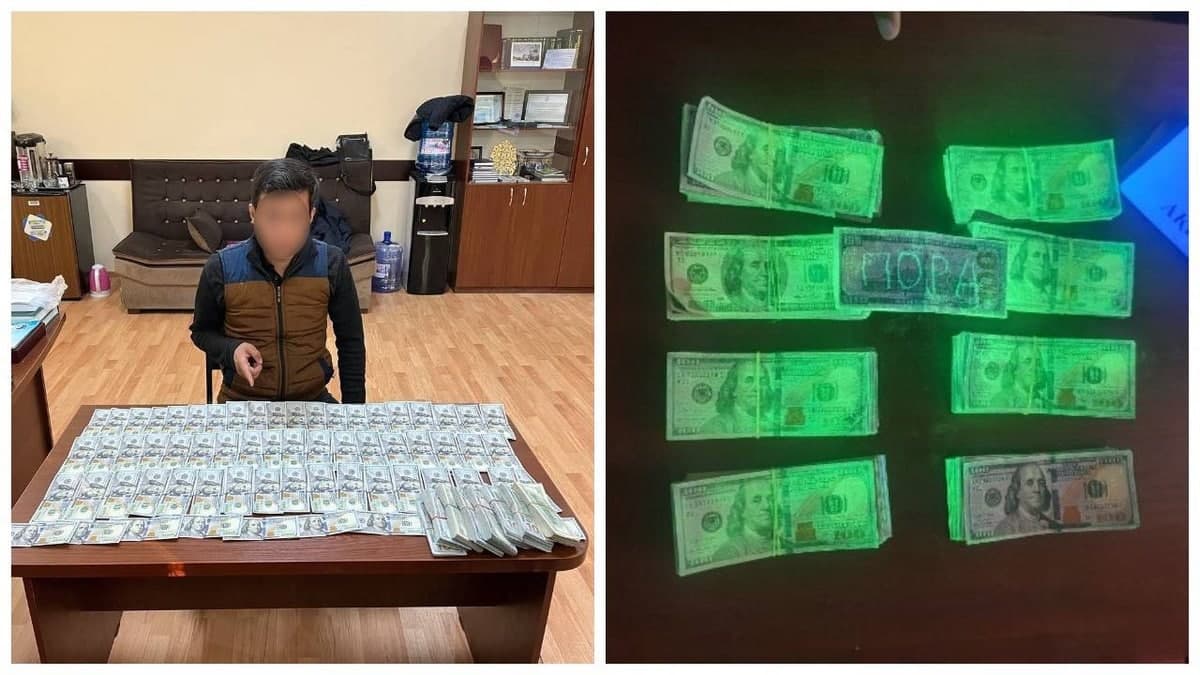 Toshkentda 2 gektar yerni 800 ming dollarga sotmoqchi bo‘lgan shaxs ushlandi