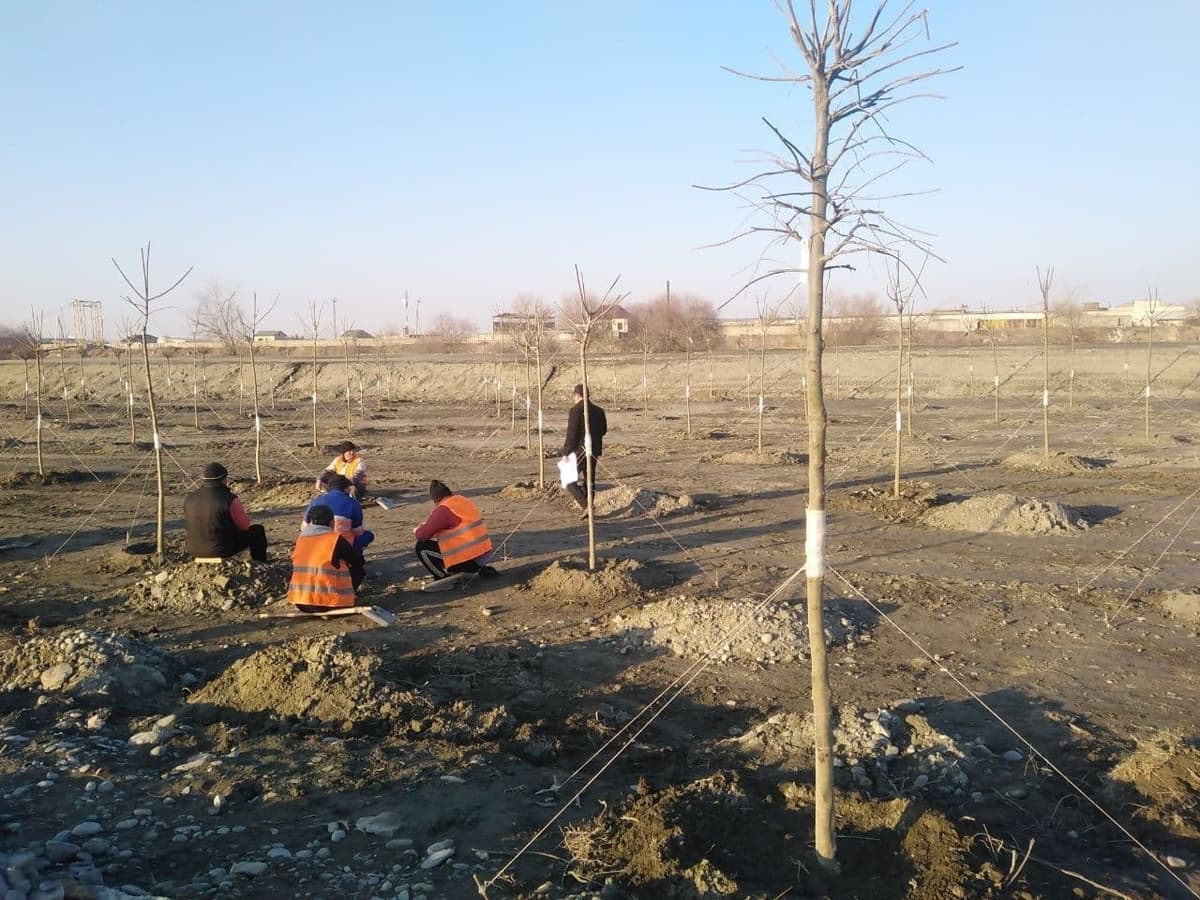 Samarqand shahrida 50 gektarlik “Yangi O‘zbekiston bog‘i” barpo etilmoqda