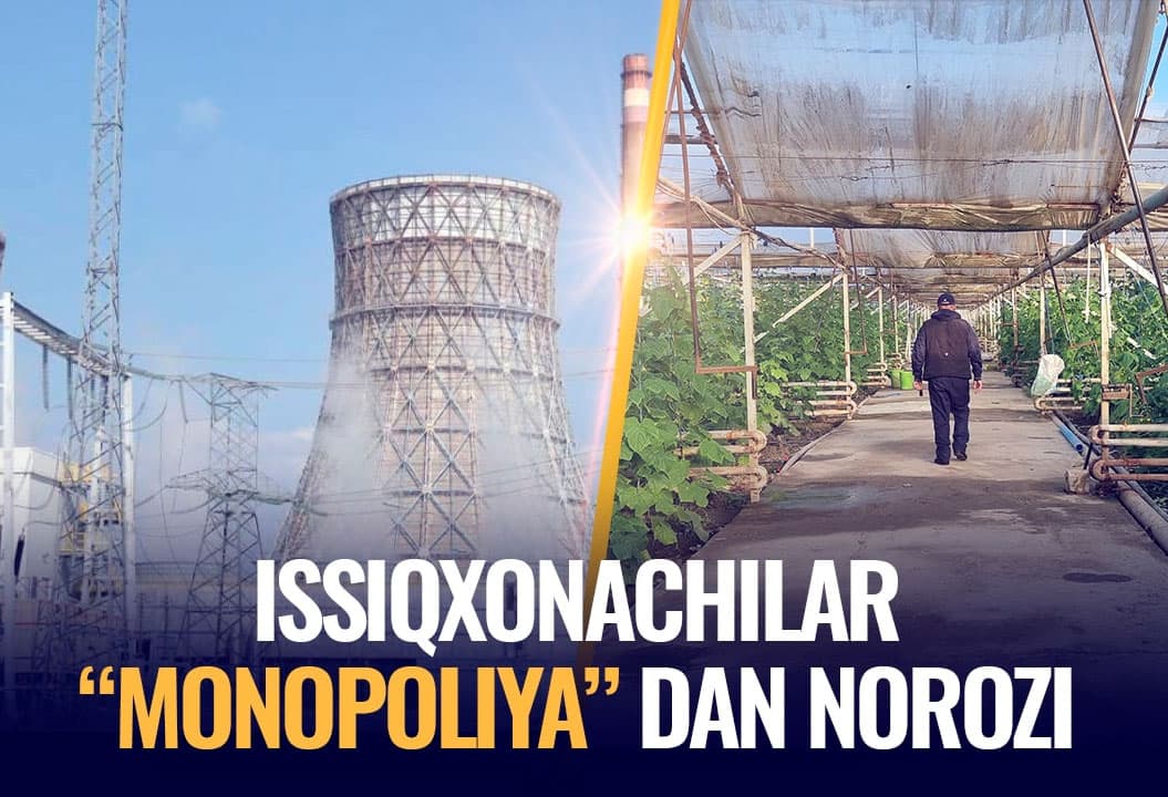 O‘roqda yo‘q, mashoqda yo‘q, xirmonda hozir - Navoiylik issiqxonachilar hokim yordamchisiga qarashli firmadan norozi