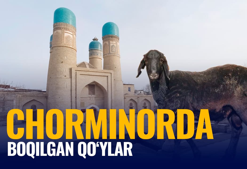 Chor Minor hovlisida boqilgan qo‘ylar: mas’ullar bu holatni rad etishmoqda