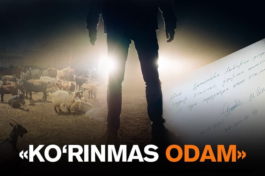 “Ko‘rinmas odam” cho‘ponlarni xonavayron qilyapti: IIB murojaatni “bosti-bosti” qilish bilan ovora
