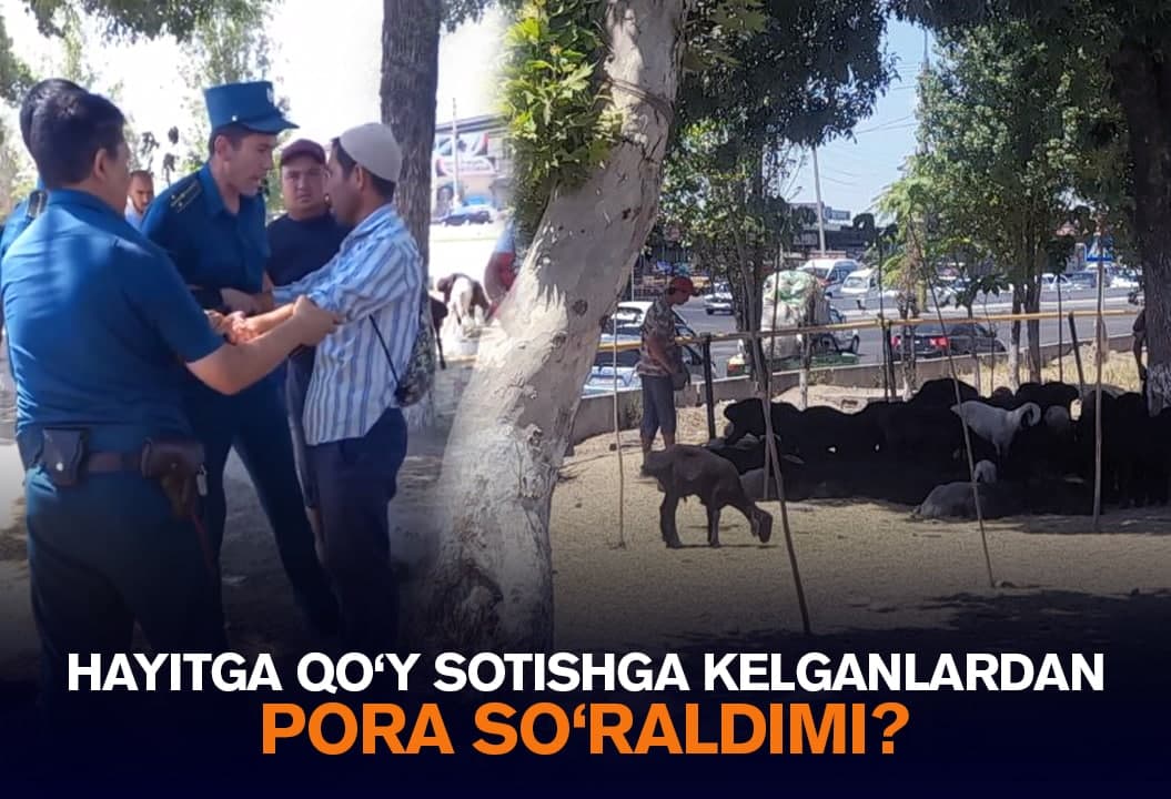 IIB xodimlari hayitga qo‘y sotishga kelganlardan pora so‘rashda ayblandi. Mutasaddilar bu tuhmat ekanini aytmoqda