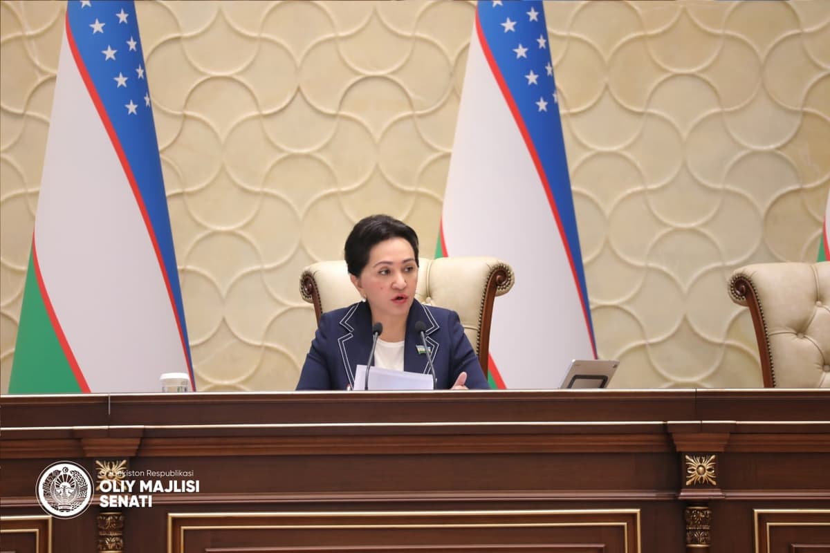 Хокимияты и Бизнес представитель пренебрегают обеспечением безопасности аттракционов – Сенат
