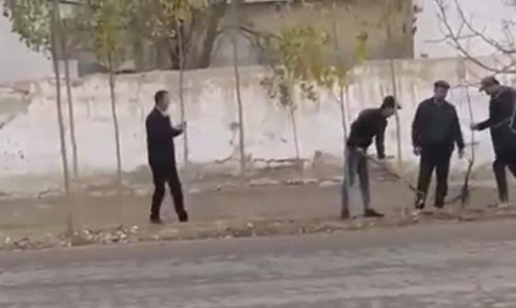 "Ko‘zbo‘yamachilikka ko‘chat ekish" nomi bilan tarqagan video ortidan Popda uch nafar mutasaddi ishdan olindi