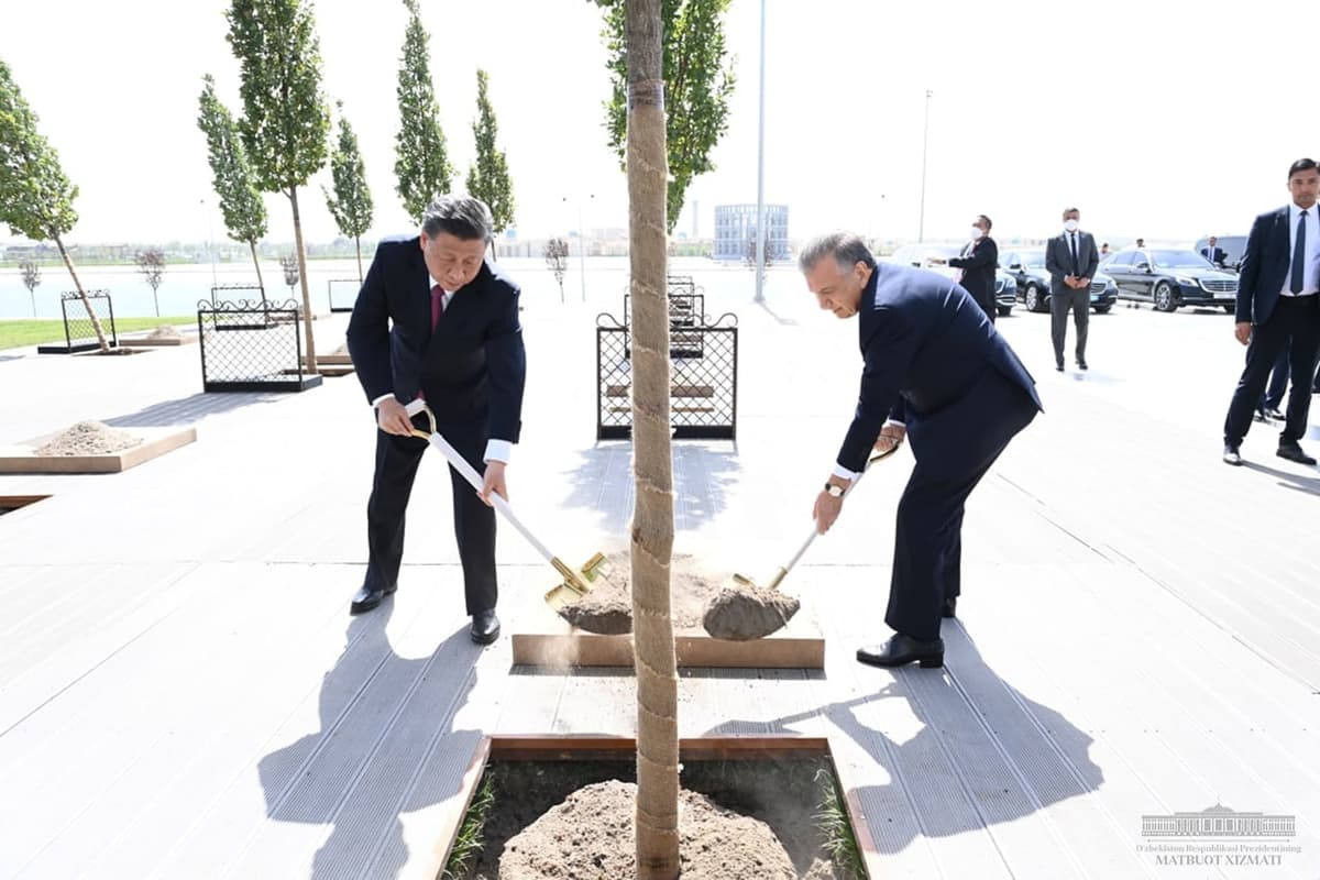 Shavkat Mirziyoyev va Si Jinping birgalikda daraxt ekdi