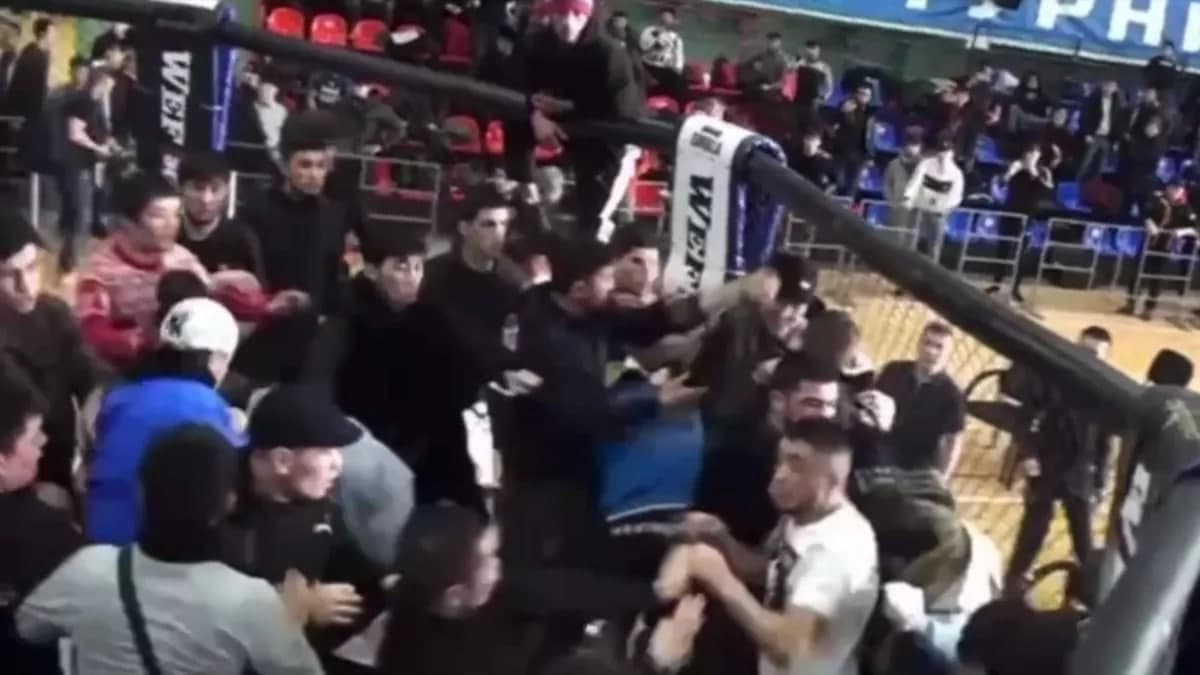 Бойцы MMA из Узбекистана и Кыргызстана устроили массовую драку на турнире в Москве