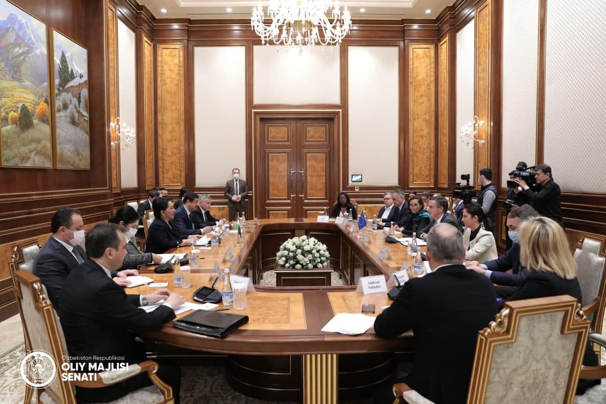 Senate hosts a meeting with delegation of the European Parliament