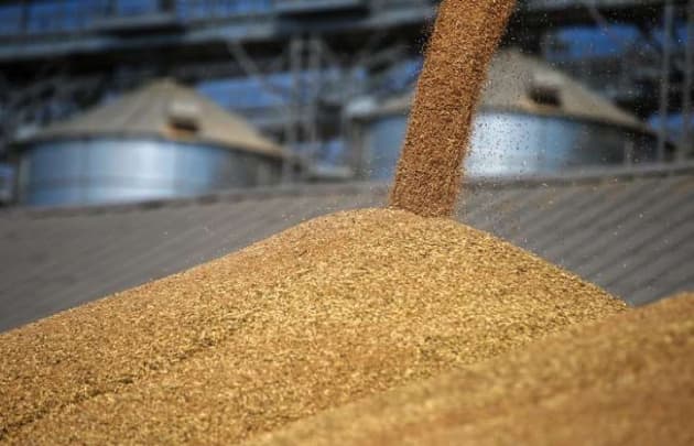 Statistics Committee provides data on food product imports from Kazakhstan