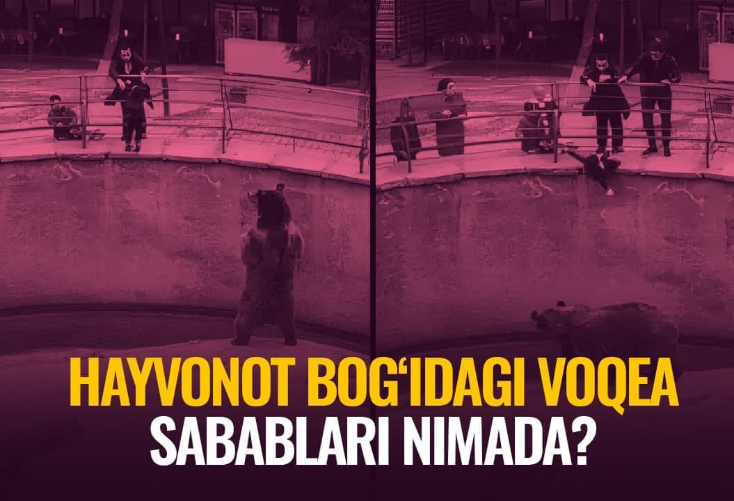 Қизалоқ ва айиқ воқеаси: аёл нега боласини йиртқич чангалига ташлаган?