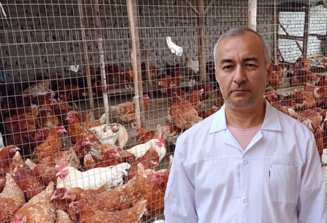 “Parrandachilik – tovuqning oldiga suv va don qo‘yib, tuxum terib olish emas” - veterinar bilan suhbat