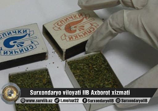 Surxondaryoda marixuana giyohvandlik moddasini sotayotgan shaxs ushlandi