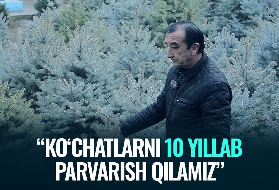 “Bitta daraxtimizning narxi 3 mln so‘mgacha boradi” - pensioner-bog‘bon yaratgan pitomnik