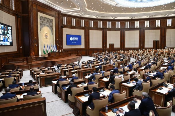 Senat Tashqi ishlar vazirligi faoliyatidagi kamchiliklarni ma’lum qildi