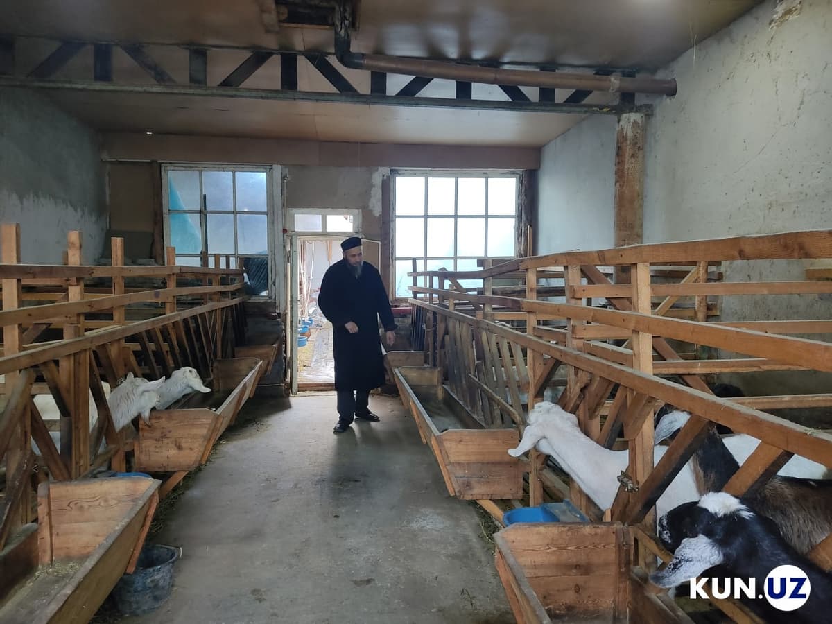 В список видов деятельности, которыми могут заниматься самозанятые лица, включены еще 10 позиций