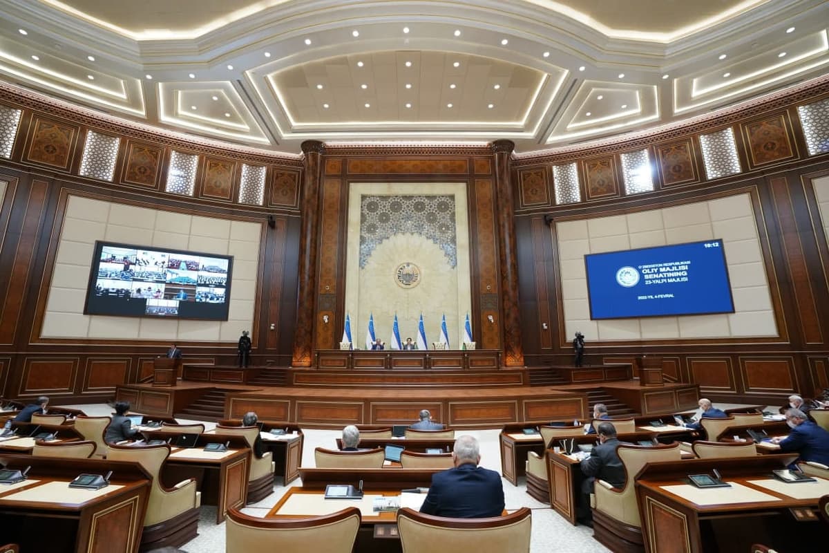 Senatorlar yoshlarni internetda zararli axborotdan himoya qilish yuzasidan hukumatga parlament so‘rovi yuboradi