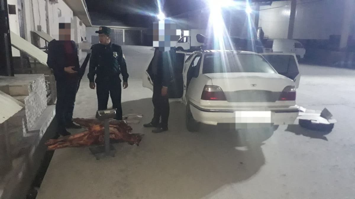 Sirdaryoda Samarqand va Qashqadaryodan Toshkentga olib ketilayotgan ko‘p miqdordagi iste’molga yaroqsiz go‘sht to‘xtatib qolindi