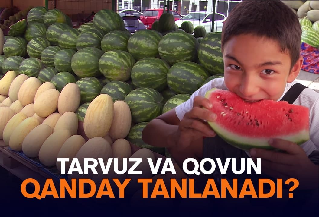 Qovun-tarvuz tanlashda nimalarga e’tibor berish kerak?