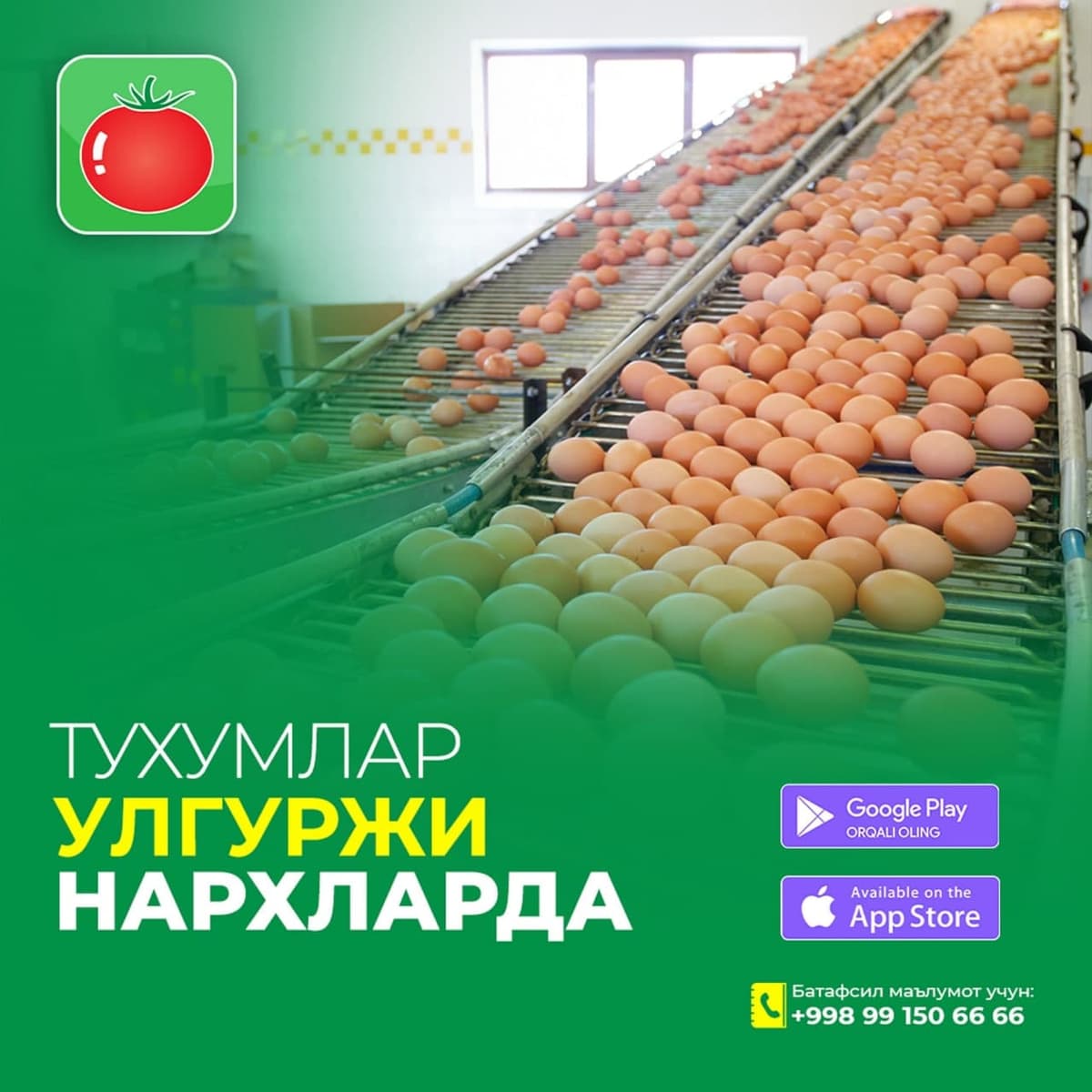 Oziqovqat.com o‘zi nima? Bu sizning mahsulotingiz 12 ta viloyatda sotiladi degani!