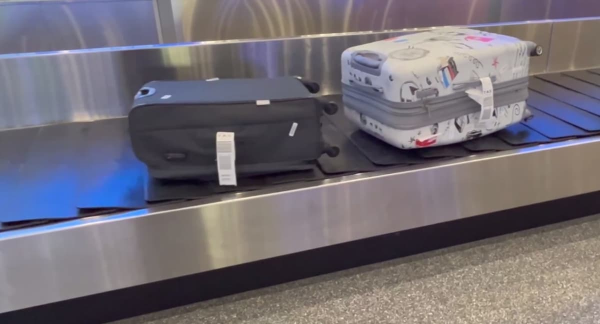 Toshkent aeroportida bagaj bo‘linmasining ishi namoyish etila boshlandi