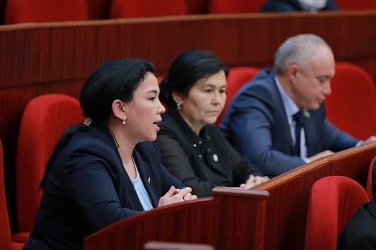 Депутаты обсудили закон, который не могут принять в Узбекистане 25 лет