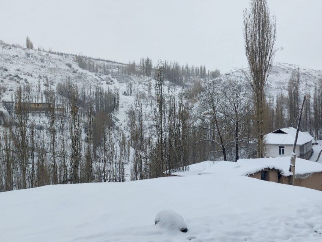 Foto: Bir qator viloyatlarning tog‘li tumanlarida qalin qor yog‘di