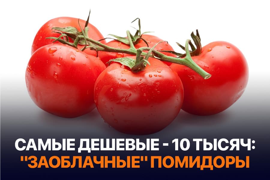 Помидор только к богатому столу? Стоимость этого очень популярного овоща превысила 10 000 сумов