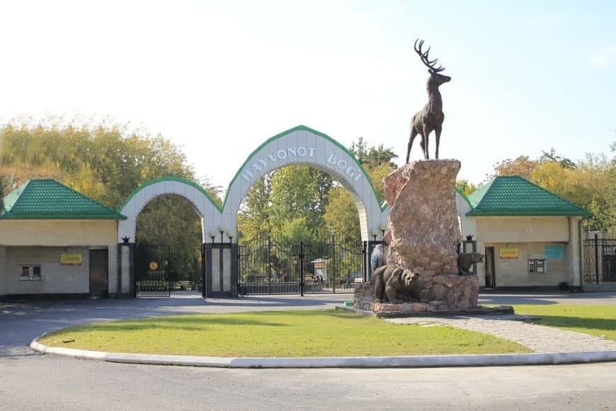Ayiq qafasiga tashlab yuborilgan qizcha va uning akasiga Toshkent hayvonot bog‘iga bir umr bepul kirish imkoniyati berildi