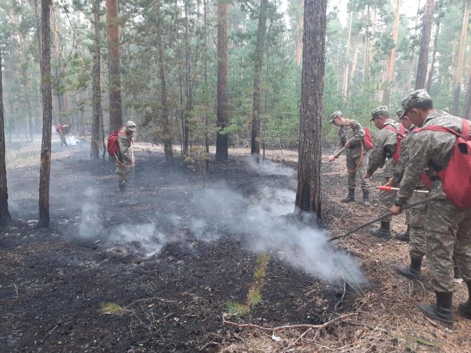 Пожар на севере Казахстана локализован