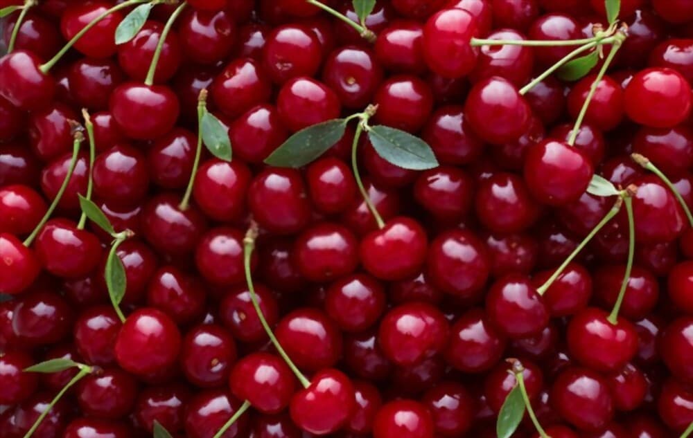Uzbekistan becomes 4th exporter of cherries in the world