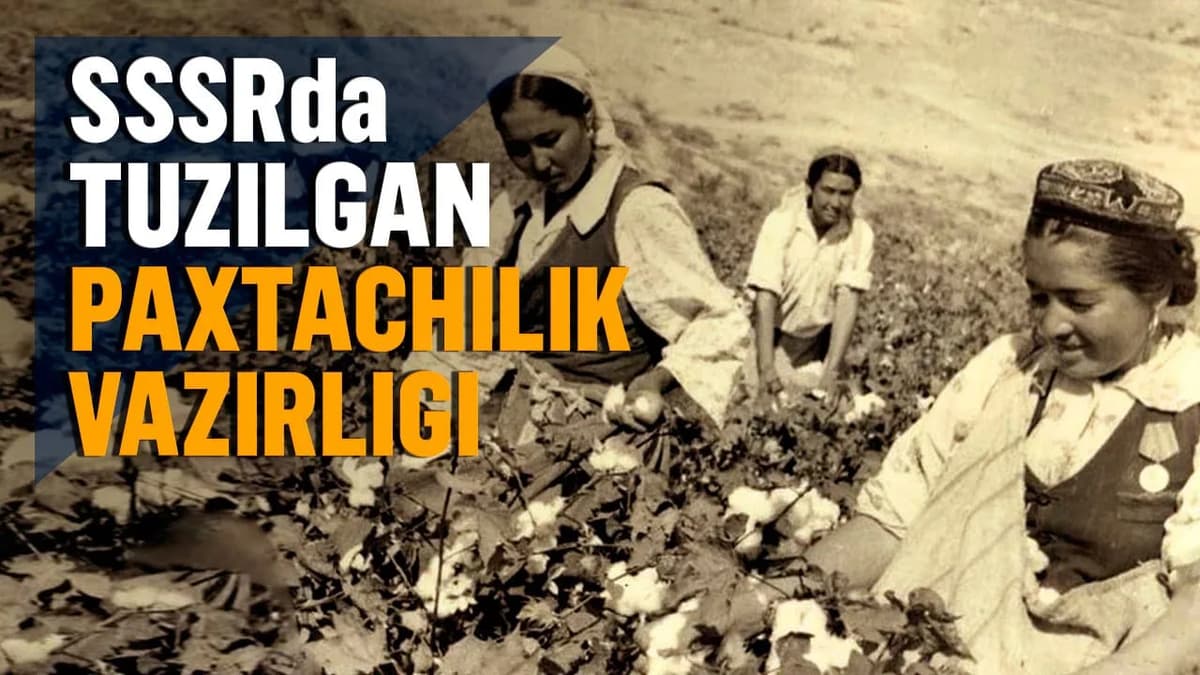 O‘zini oqlamagan tashabbus: SSSRda Paxtachilik vazirligi nega tuzilgan edi?