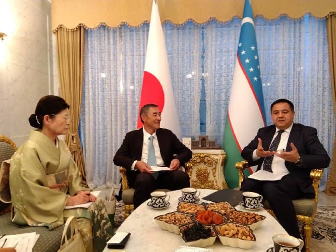 Yaponiya Orol dengizi qurigan hududini ko‘kalamzorlashtirishga ko‘mak beradi