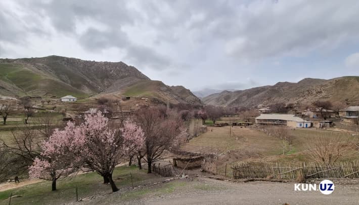 Dam oliş kunlari beqaror ob-havo saqlanib turadi