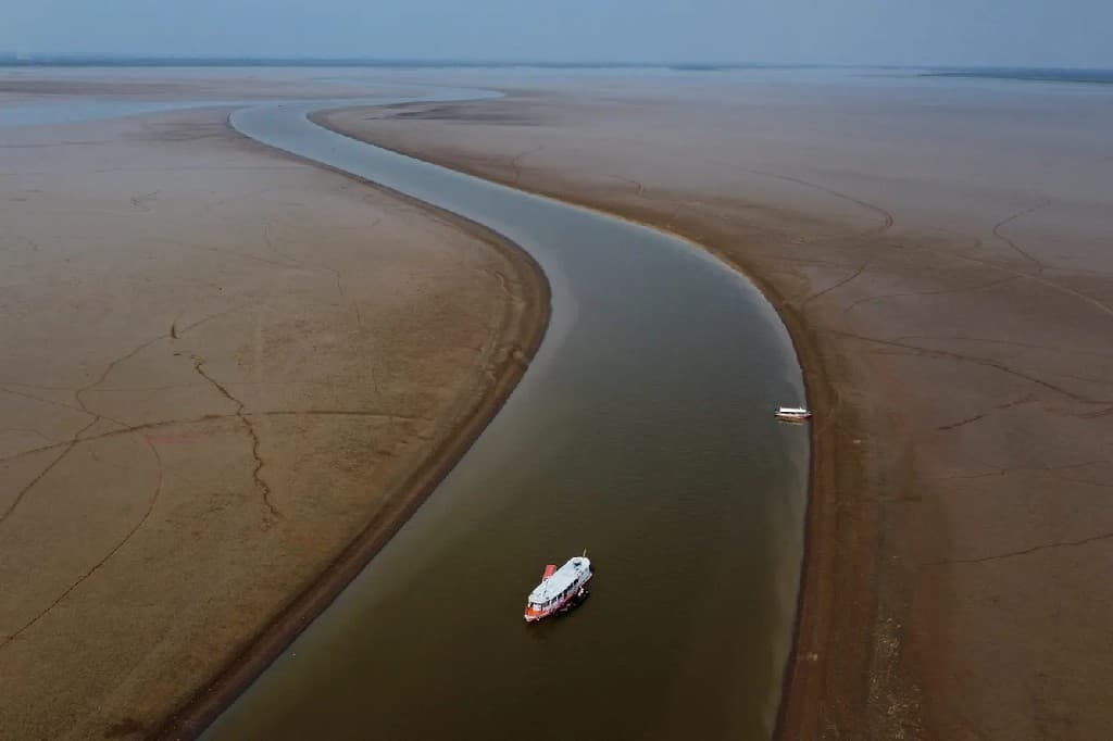 Foto: Jazirama va qurg‘oqchilik tufayli Amazonkada baliq va delfinlar halok bo‘lmoqda