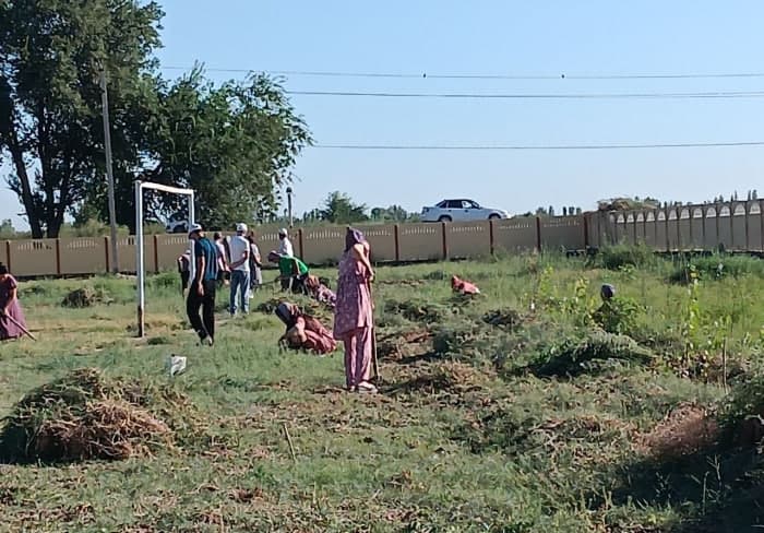 Xorazmda o‘qituvchilarni maktabni tozalashga jalb etgan direktor jazolandi