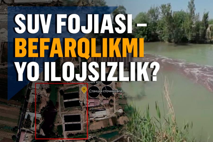 Qora tusga kirgan yam-yashil Bo‘zsuv - mas’ullar nima deydi? (2-qism)