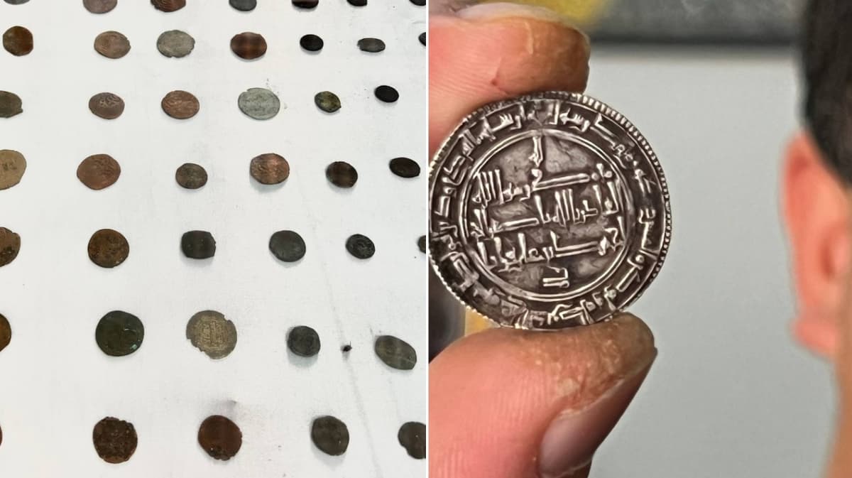 Scientists find 1500-year-old coins in Namangan