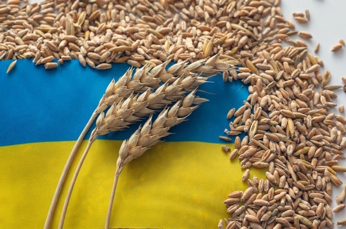 Переговоры Турции, Украины и РФ по зерновой сделке запланированы на 5 мая