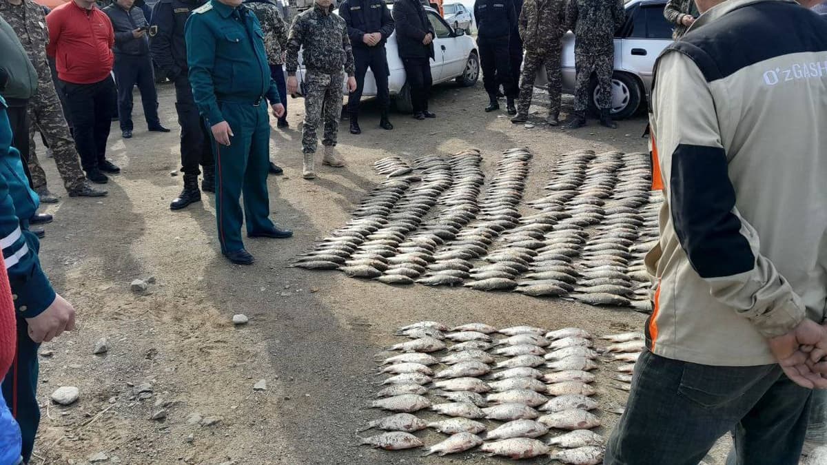 В Сырдарье выявлены браконьеры