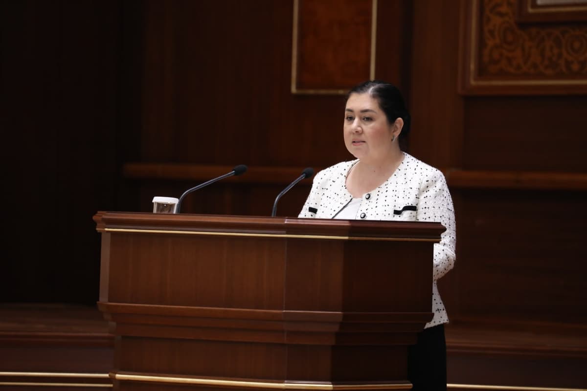 Senatorlar ombudsman faoliyatidagi kamchiliklarni sanab o‘tdi