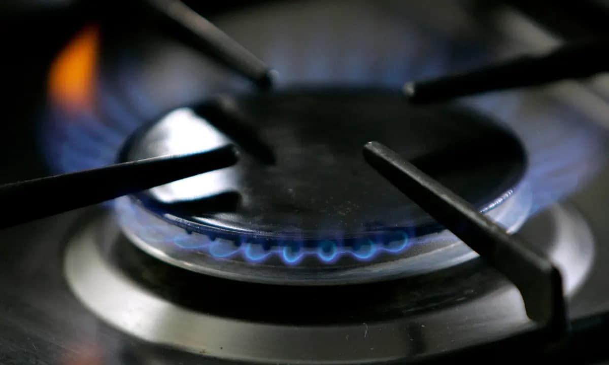 В двух районах Ташкента частично ограничат подачу газа