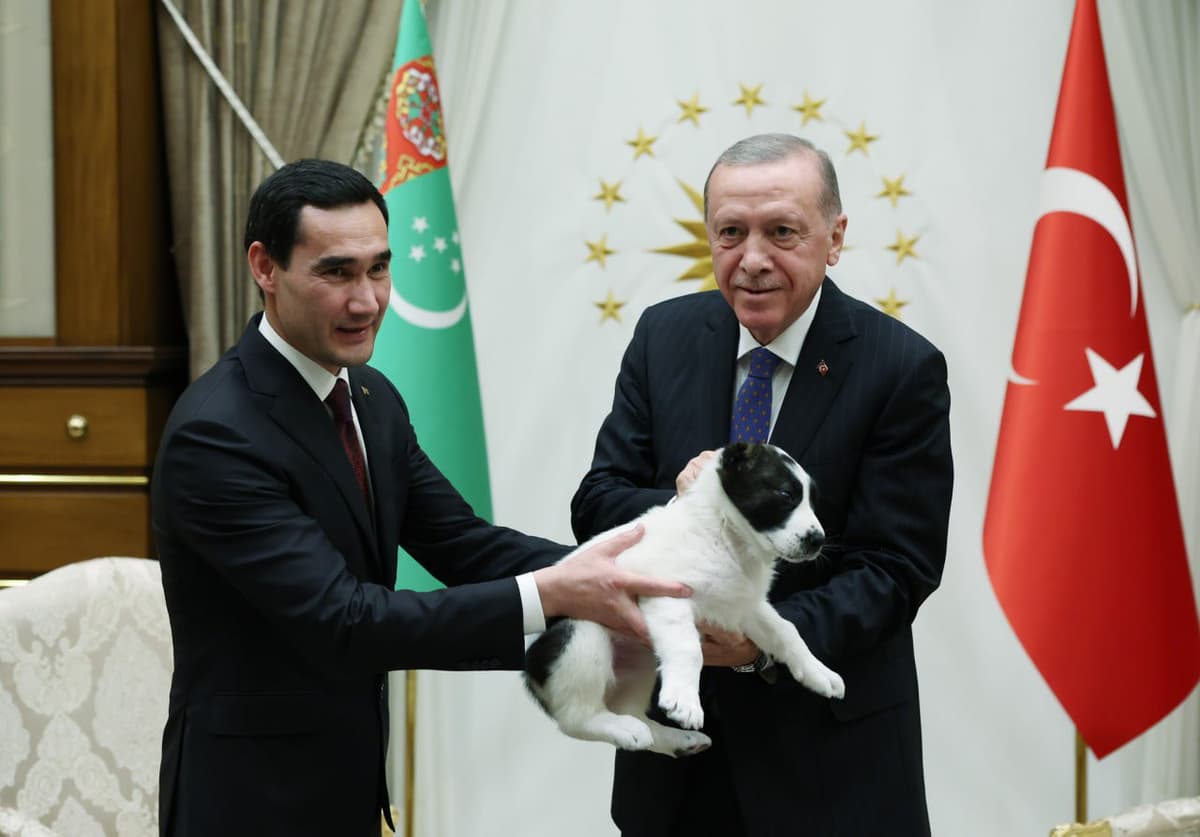 Turkiya va Turkmaniston prezidentlari kuchukcha almashishdi