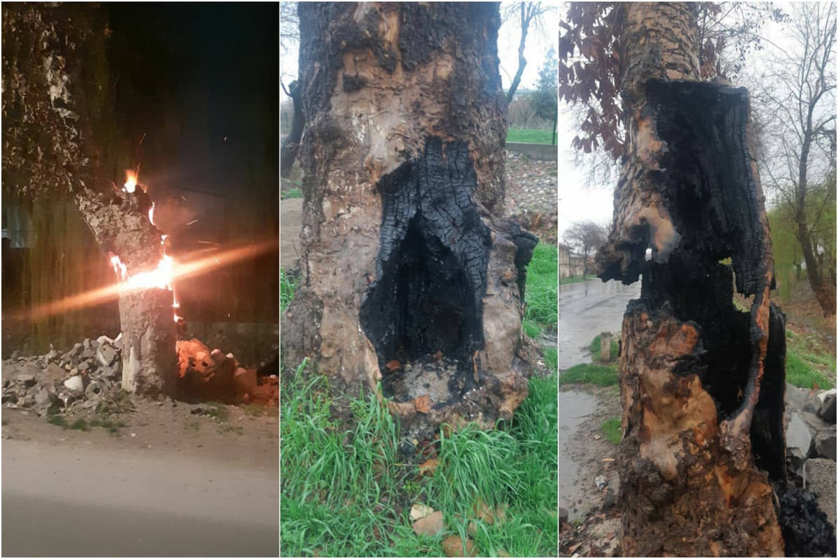Toşkentda ikkita katta çinor yoqib yuborildi