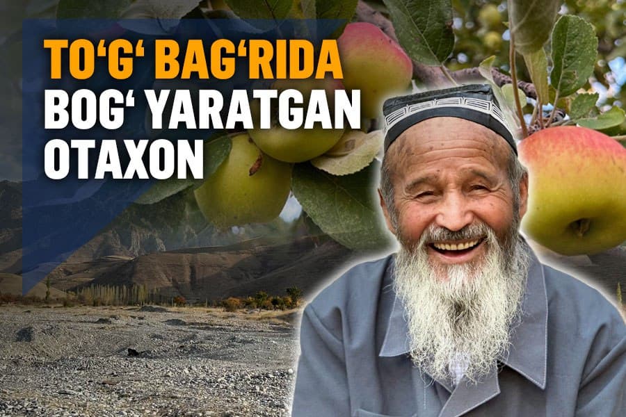 “Suv chiqarish uchun mashinamni sotganman”: tog‘ bag‘rida bog‘ yaratgan so‘xlik otaxon