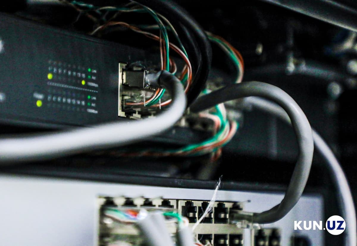 В Узбекистане количество интернет-пользователей превысило 31 миллион